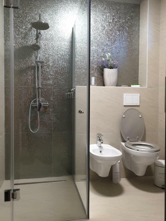 Apartment Irina Timisoara
